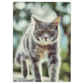 Kat schilderen klembord (Achterkant)