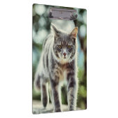 Kat schilderen klembord (Rechts)