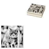 Kat schilderen rubberstempel (Gestempeld)