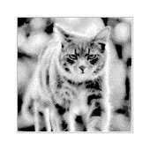 Kat schilderen rubberstempel (Afrduk)