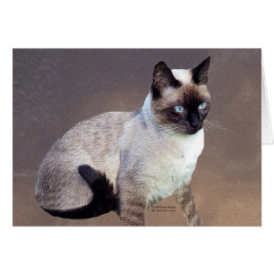 Kat schilderen van Siamese katten