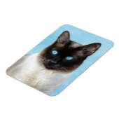 Kat schilderen van Siamese - Kute Original Cat Art Magneet (Linkerzijde)
