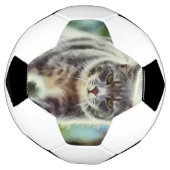 Kat schilderen voetbal (Gedraaid)