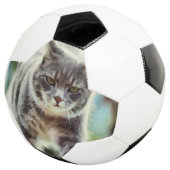 Kat schilderen voetbal (Drie kwart)