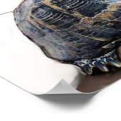 KAT, SCHILDPAD EN BASKETBAL POSTER (Hoek)