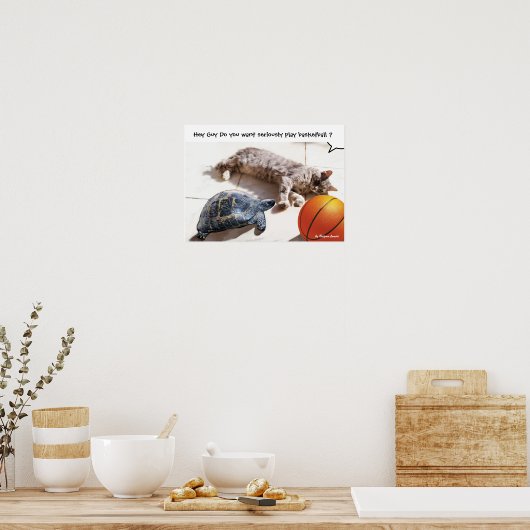 KAT, SCHILDPAD EN BASKETBAL POSTER (Keuken)