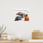 KAT, SCHILDPAD EN BASKETBAL POSTER (Keuken)