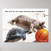 KAT, SCHILDPAD EN BASKETBAL POSTER (Voorkant)