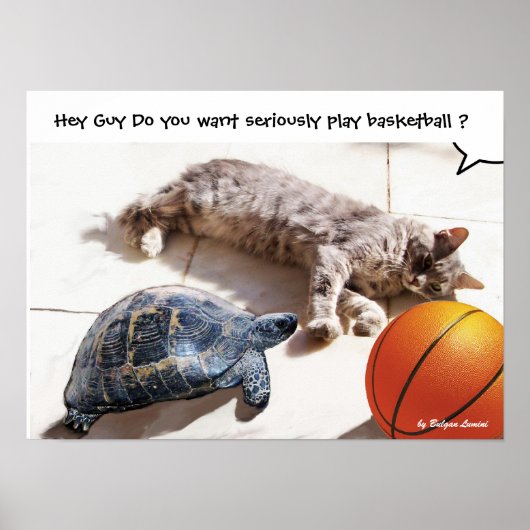 KAT, SCHILDPAD EN BASKETBAL POSTER (Voorkant)