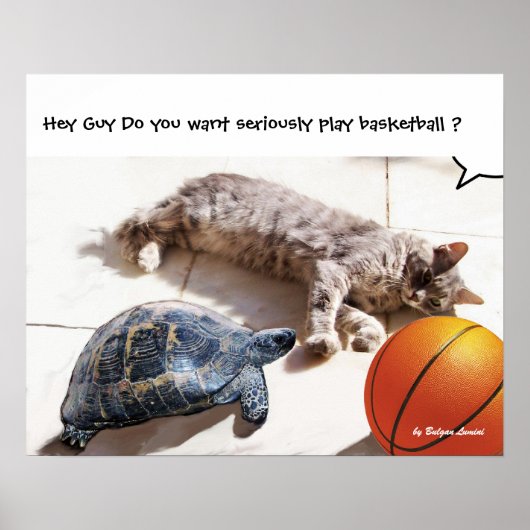 KAT, SCHILDPAD EN BASKETBAL POSTER (Voorkant)