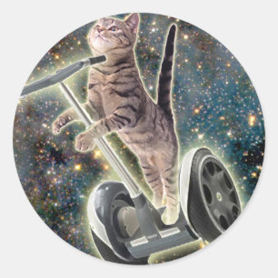 Kat Segway Ronde Sticker