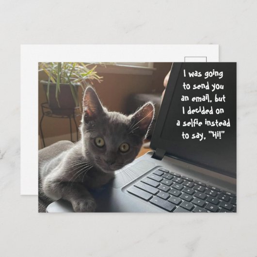 KAT SELFIE HALLO BRIEFKAART (Voorkant / Achterkant)