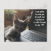 KAT SELFIE HALLO BRIEFKAART (Voorkant)