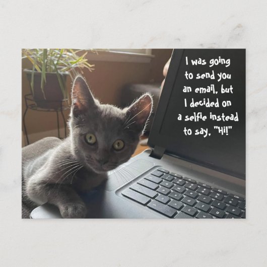 KAT SELFIE HALLO BRIEFKAART (Voorkant)