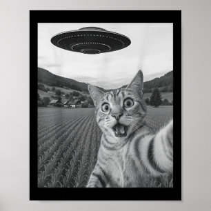 Kat Selfie Met Alien UFO Grappige Kat Grappige Ali Poster