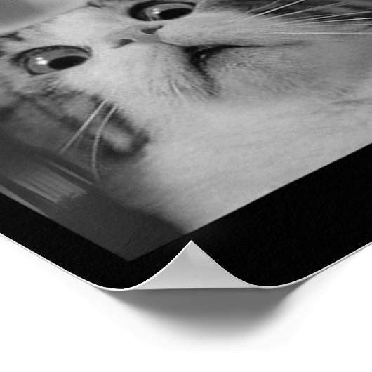 Kat Selfie met UFO's Poster (Hoek)