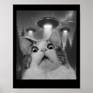 Kat Selfie met UFO's Poster