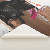 Kat Sherpa Deken (3/4)