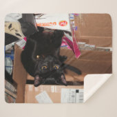 Kat Sherpa Deken (Voorkant (horizontaal))