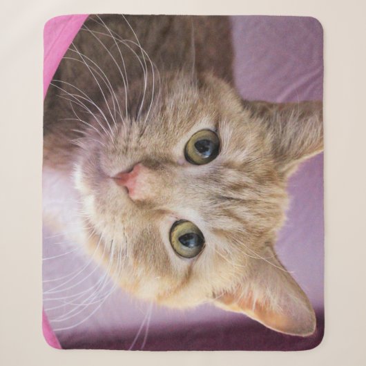 Kat Sherpa Deken (Voorkant)