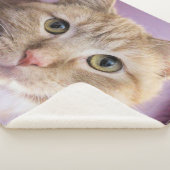 Kat Sherpa Deken (3/4)
