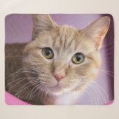 Kat Sherpa Deken (Voorkant (horizontaal))