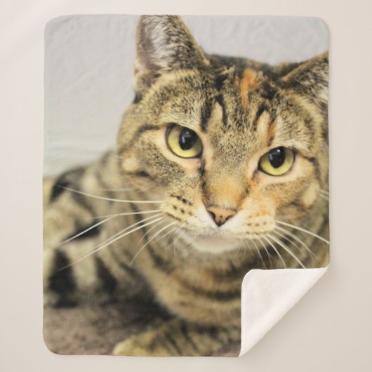 Kat Sherpa Deken (Voorkant)