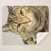 Kat Sherpa Deken (Voorkant (horizontaal))