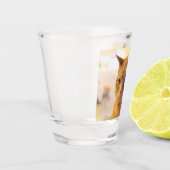 Kat Shot Glas (Links)