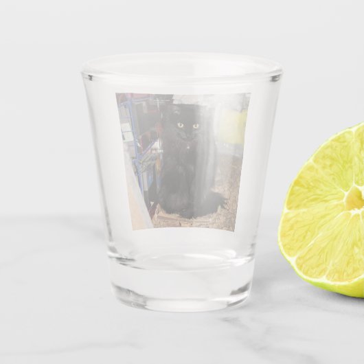Kat Shot Glas (Achterkant)