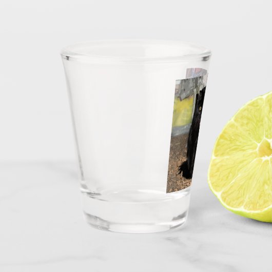 Kat Shot Glas (Links)