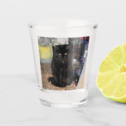 Kat Shot Glas (Voorkant)