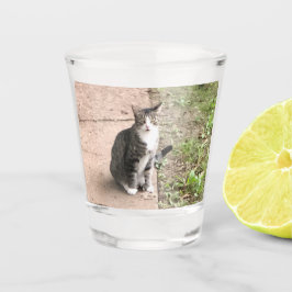 Kat Shot Glas