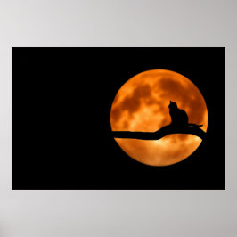 Kat Silhouet Maneschijn Poster