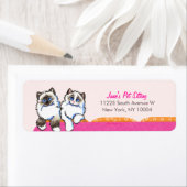 Kat Sitter Business Ragdoll Couch Pink Etiket (Insitu)