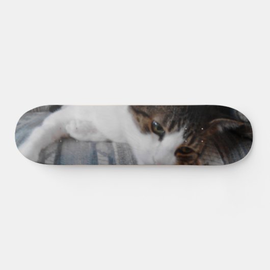 Kat Skateboard (Horizontaal)