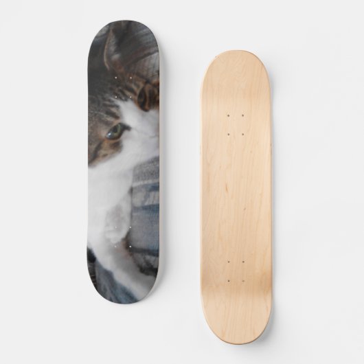 Kat Skateboard (Voorkant)
