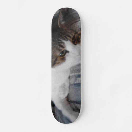 Kat Skateboard (Voorkant)