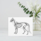 Kat skelet briefkaart (Staand voorkant)