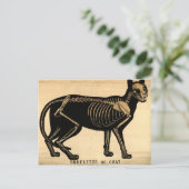  Kat Skeleton Briefkaart (Staand voorkant)