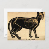  Kat Skeleton Briefkaart (Voorkant / Achterkant)