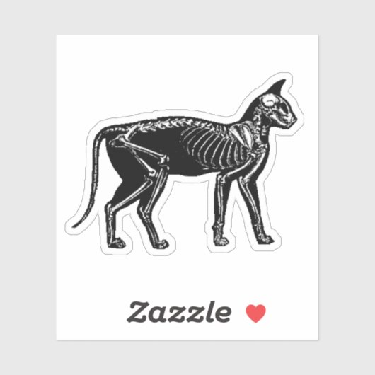Kat Skeleton Sticker (Vel)