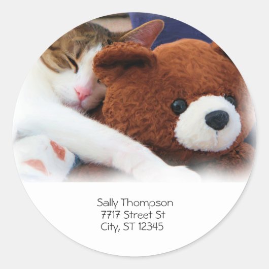 Kat Slaap Teddy Beer Adres Ronde Sticker (Voorkant)
