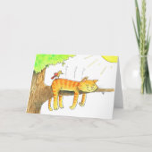 Kat slaapt in de Zon Groet Kaart (Voorkant)