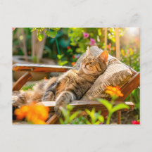 Kat slaapt in tuinstoel tussen bloemen