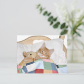 Kat slaapt met Teddy Briefkaart (Staand voorkant)