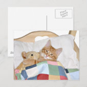 Kat slaapt met Teddy Briefkaart (Voorkant / Achterkant)