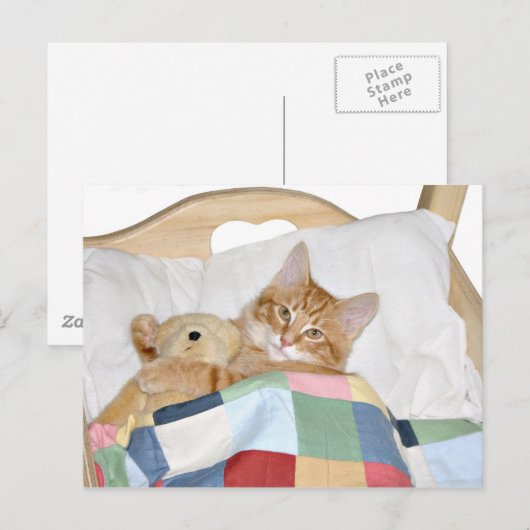 Kat slaapt met Teddy Briefkaart (Voorkant / Achterkant)