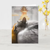 Kat slaapt onder Boeddha's horloge Kaart (Gele Bloem)