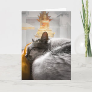 Kat slaapt onder Boeddha's horloge Kaart